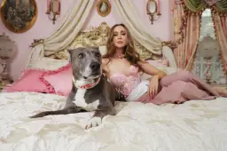 Femme dans une tenue élégante sur un lit à côté d'un chien gris avec un collier à motifs