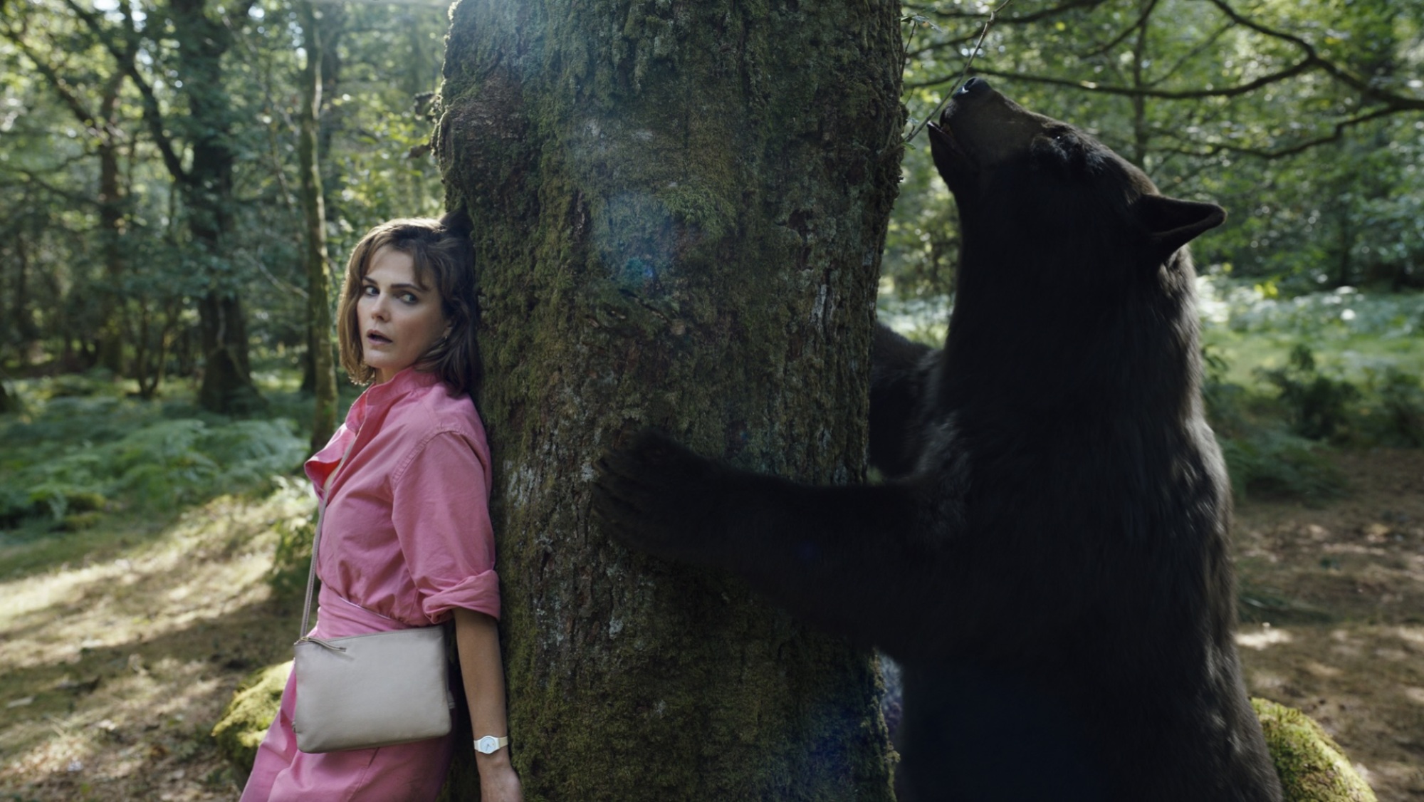 Une femme en combinaison rose se cache d'un ours derrière un arbre.