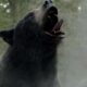 Critique de "Cocaine Bear": Une histoire vraie sauvage devient une comédie dingue, et pourtant...