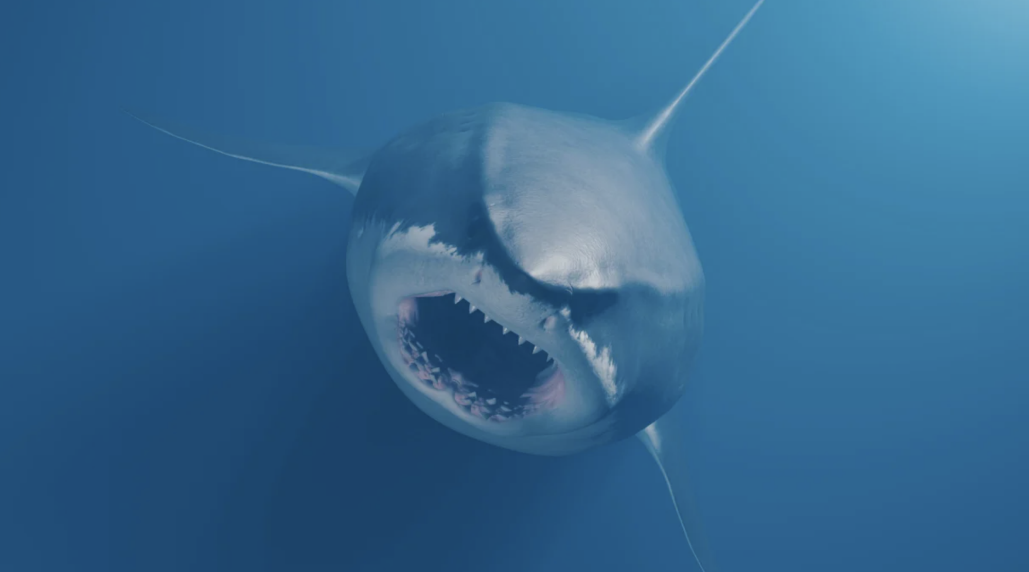 un requin nageant des profondeurs de l'océan