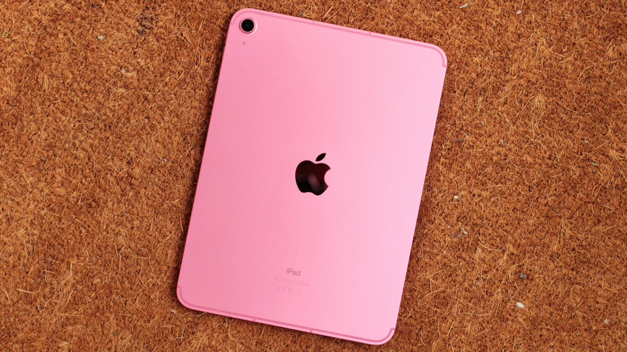 Apple iPad (rose)