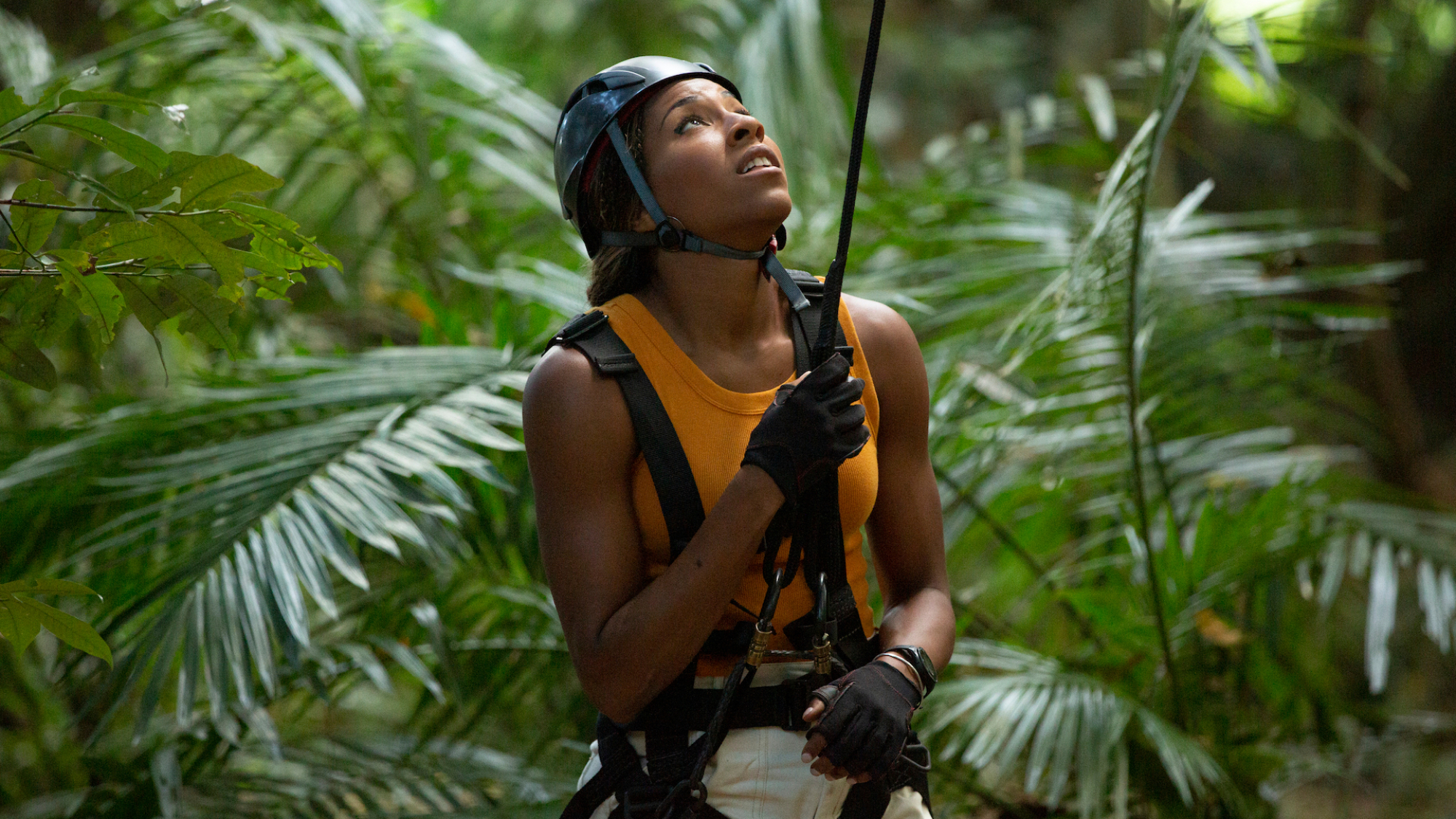 Dans une forêt tropicale, une femme portant du matériel d'escalade tient une corde et lève les yeux.