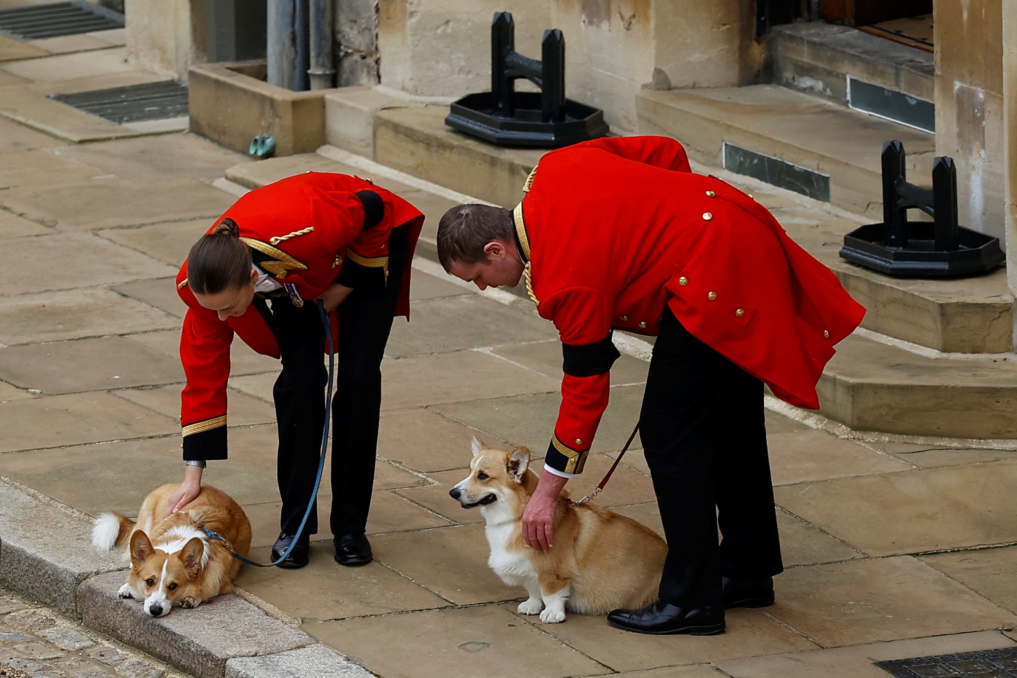 Deux membres du personnel caressent les corgis royaux à l'extérieur du château de Windsor.