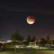Éclipse lunaire du 8 novembre : comment regarder la dernière « lune de sang » de 2022