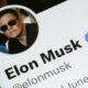 Elon Musk a acheté Twitter pour 44 milliards de dollars, alors maintenant ses utilisateurs veulent quitter ou économiser sa valeur