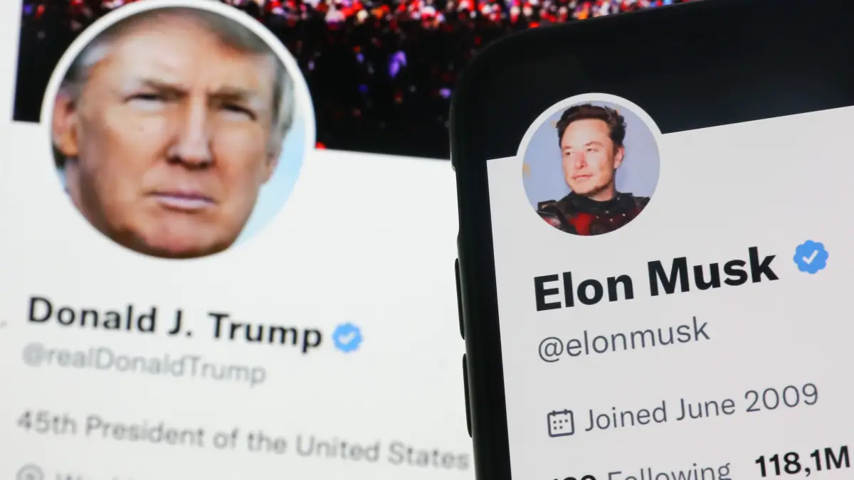 Elon Musk rétablit les comptes Twitter interdits.  Voici qui est de retour.