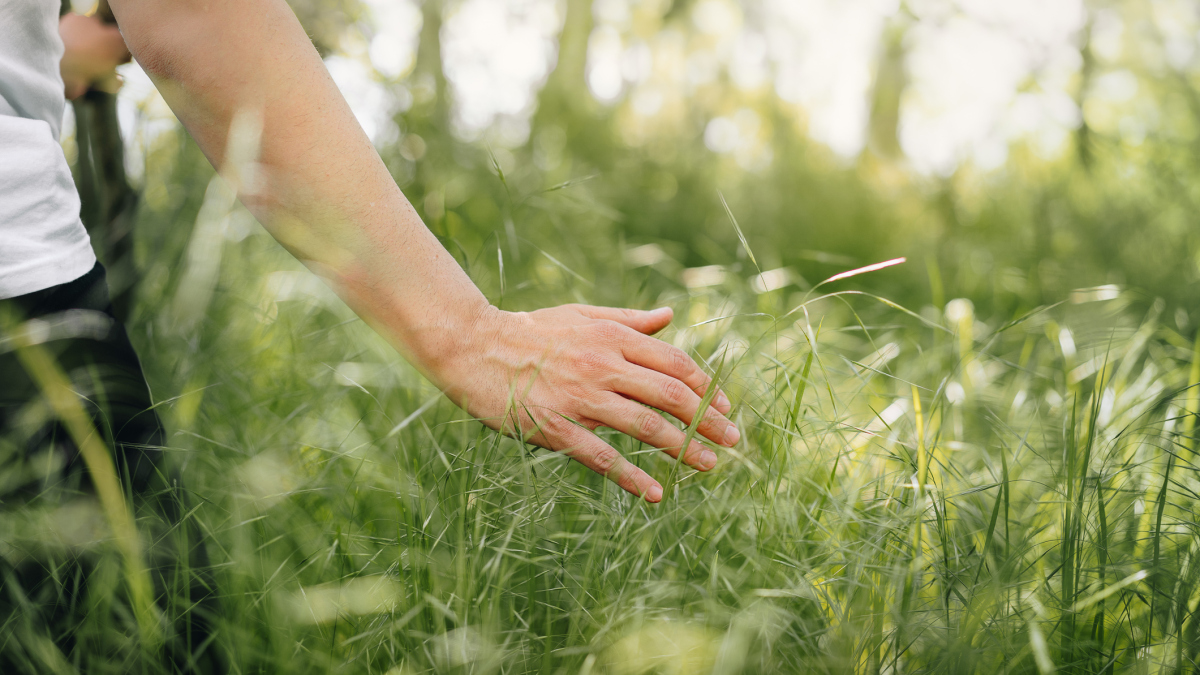 Il est temps de se déconnecter et de toucher l'herbe