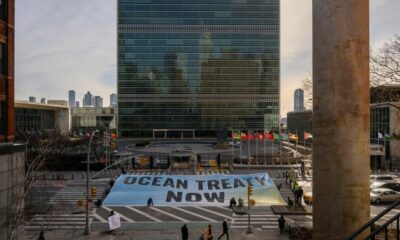 La haute mer peut enfin être protégée par le nouveau traité de l'ONU