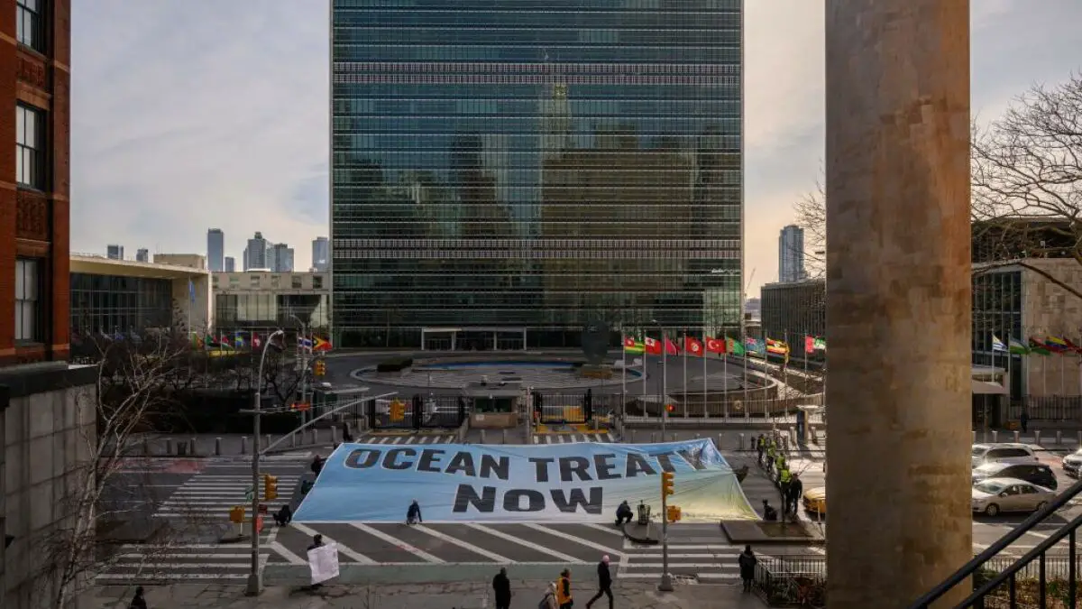 La haute mer peut enfin être protégée par le nouveau traité de l'ONU