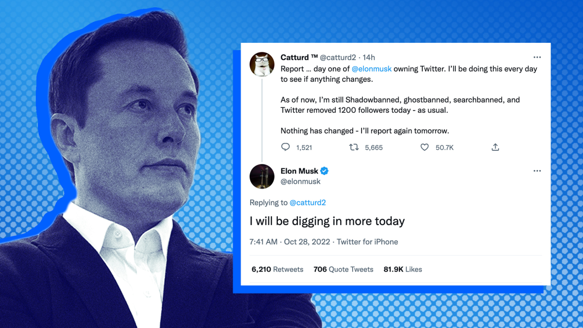 Le premier acte du "chef Twit" d'Elon Musk : un service client personnalisé pour les trolls de droite