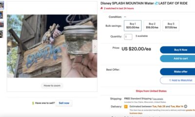 Les gens vendent de l'eau Disney Splash Mountain sur Ebay.  C'est la chose la plus stupide qui soit.