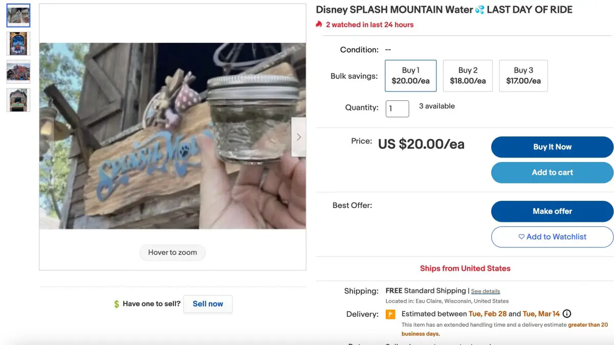 Les gens vendent de l'eau Disney Splash Mountain sur Ebay.  C'est la chose la plus stupide qui soit.