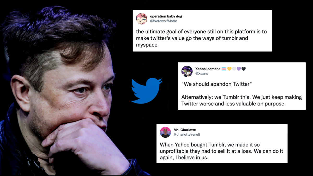 Les utilisateurs de Twitter complotent pour se venger d'Elon Musk en tuant la plateforme