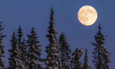 Pourquoi est-ce appelé une lune de neige?  (Et quand le voir)