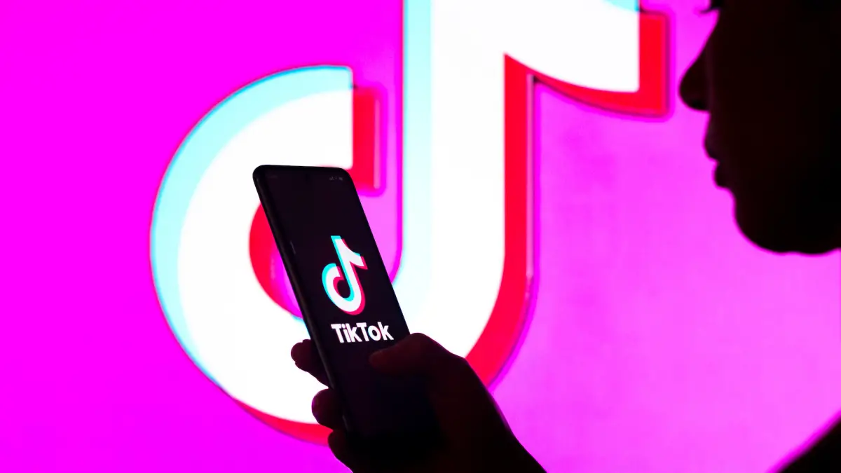 What countries have banned TikTok?