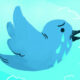 Twitter a fait faillite après avoir déployé des Tweets de 4 000 caractères
