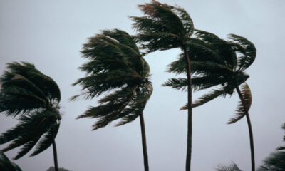 Voir la webcam de Charlotte Harbor, en Floride, qui a documenté l'arrivée de l'ouragan Ian