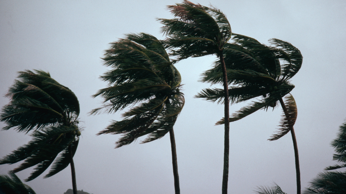 Voir la webcam de Charlotte Harbor, en Floride, qui a documenté l'arrivée de l'ouragan Ian