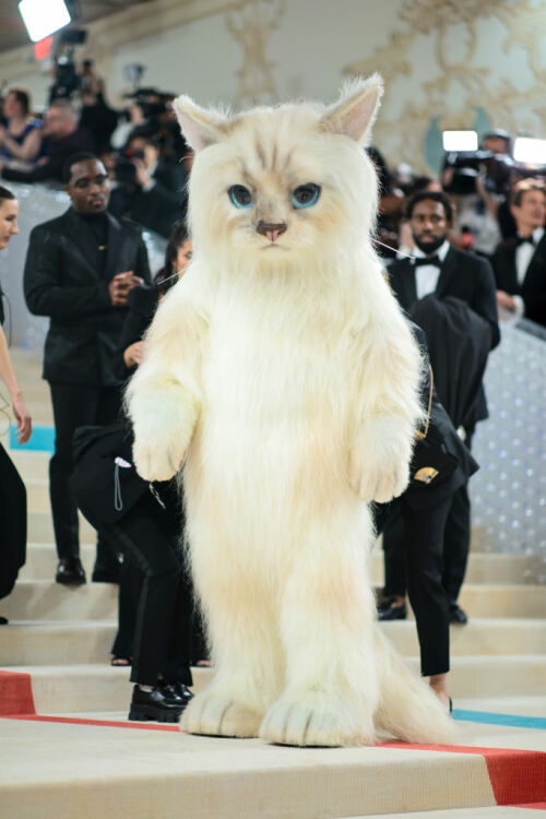 Jared Leto, déguisé en Choupette, assiste au Met Gala 2023 Celebrating 