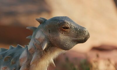 Des chercheurs découvrent des restes de dinosaures blindés, les premiers du genre, en Argentine