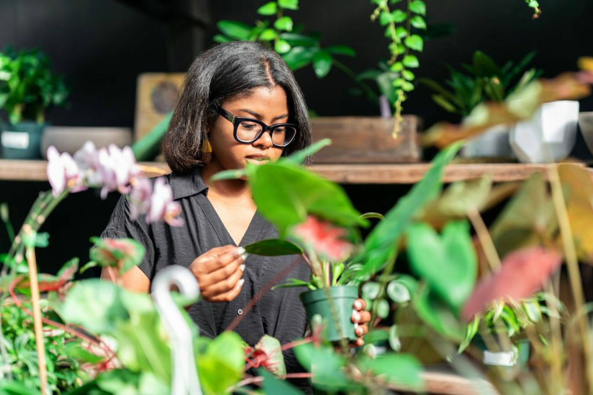 Personne regardant au-dessus des plantes.