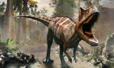 Comment les dinosaures ont conquis le monde en faisant l'impensable