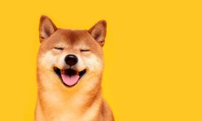 Dogecoin : Tout ce que vous devez savoir sur la crypto-monnaie