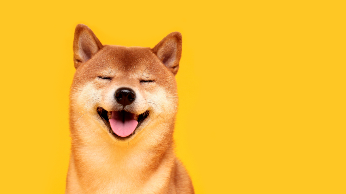 Dogecoin : Tout ce que vous devez savoir sur la crypto-monnaie