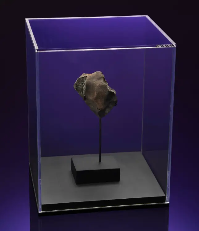 météorite qui a frappé une niche de chien vendue aux enchères