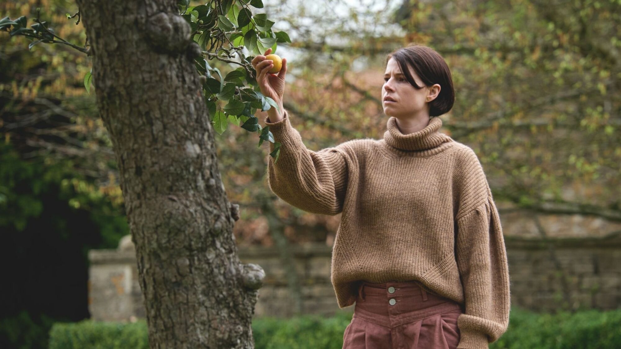 Une femme cueille une pomme d'un arbre