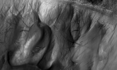 Les diables de poussière martiens laissent des traces sauvages partout dans le cratère de Mars