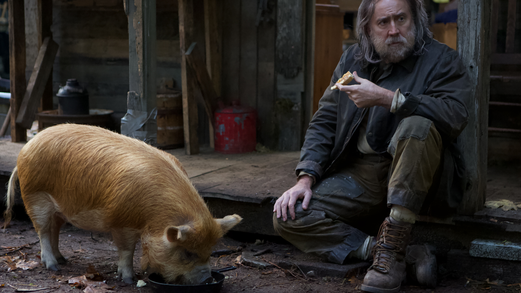 Nicholas Cage et un cochon