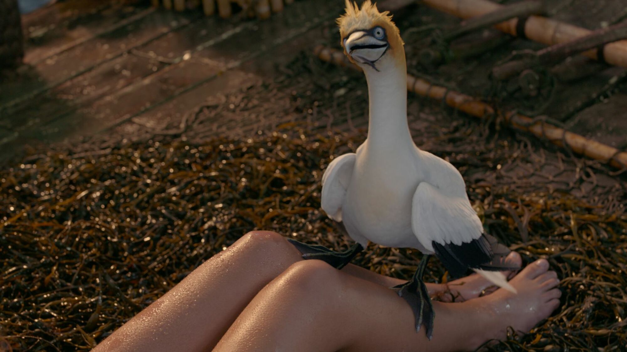 Scuttle, exprimé par Awkwafina, est assis sur les jambes d'Ariel dans "La petite Sirène."