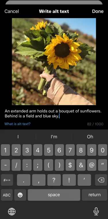 Capture d'écran de l'écran d'édition de texte alternatif.