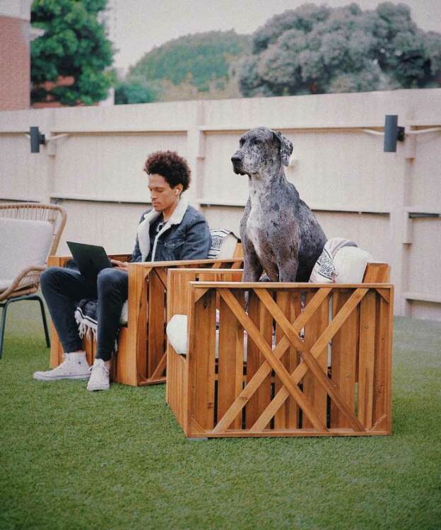 Un homme travaillant sur un ordinateur portable et un chien sont assis chacun dans une chaise longue.