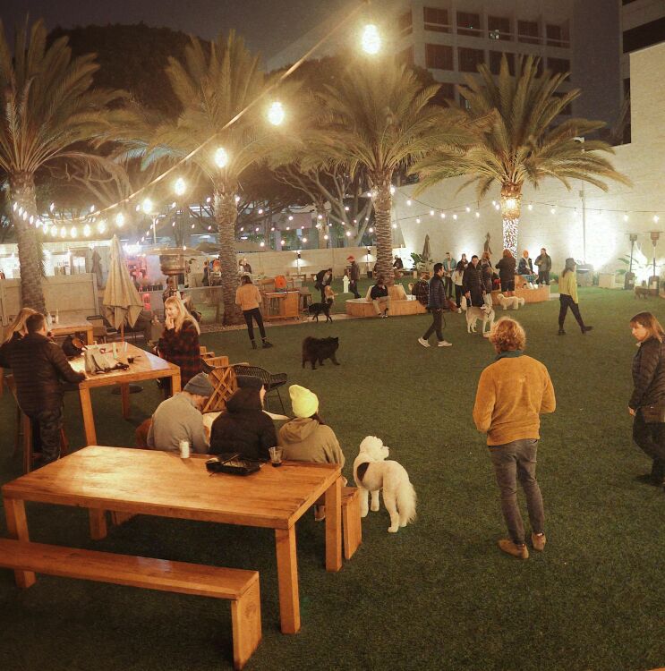 Une vue sur le parc à chiens la nuit montre des lumières de café éclairées avec des chiens et des gens qui s'affairent.