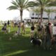 Le club le plus branché de Los Angeles : un parc pour chiens réservé aux membres