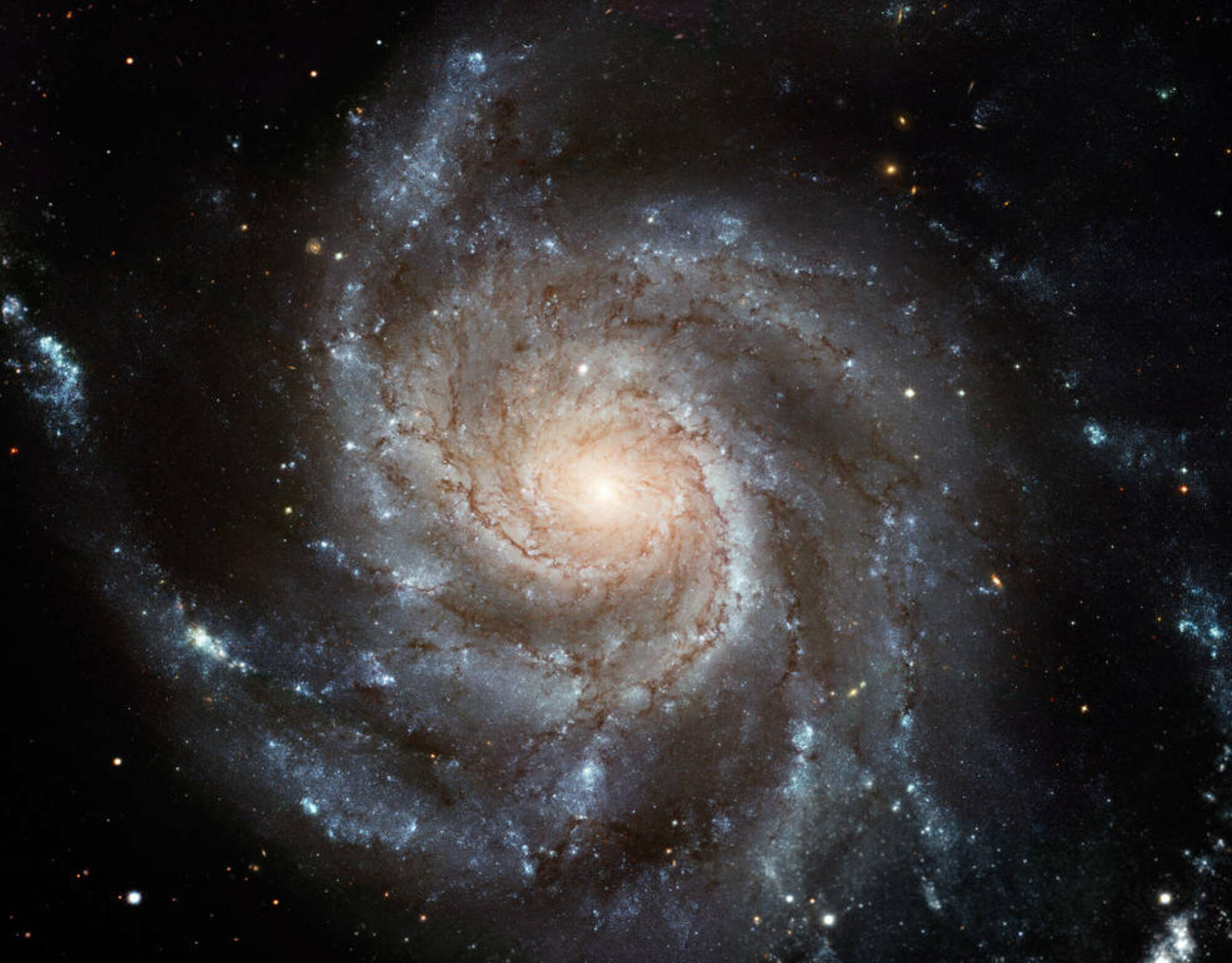 La majestueuse galaxie Pinwheel vue par le télescope spatial Hubble. 
