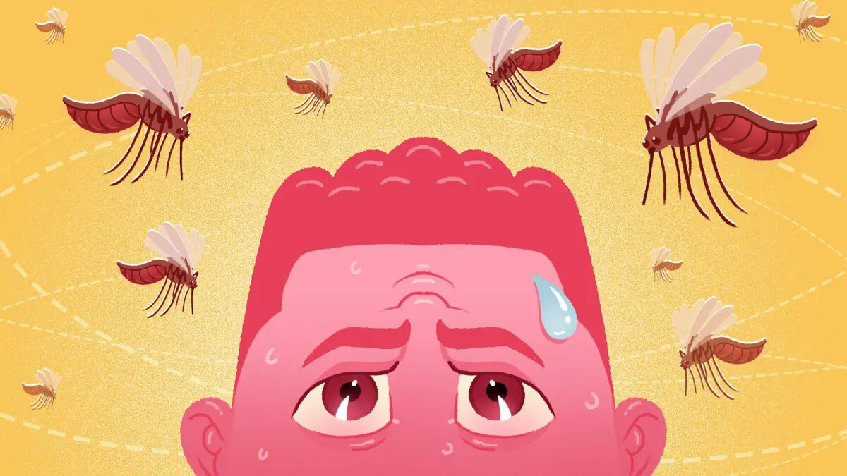 Des millions de moustiques génétiquement modifiés sont là pour nous protéger
