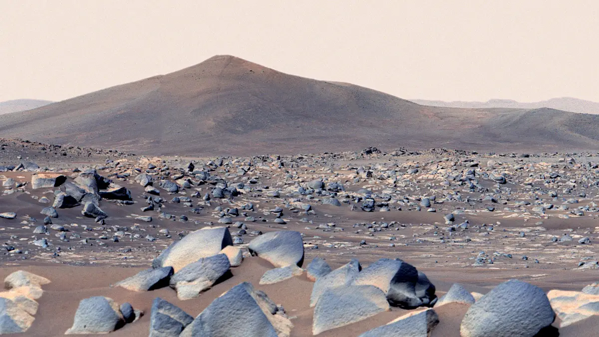 Le rover Perseverance de la NASA a scruté une roche martienne nommée "Sid"