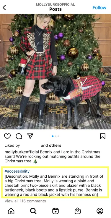 Publication Instagram de l'activiste Molly Burke avec un bloc de texte alternatif sous la légende.  Dans le message, Molly se tient avec son chien-guide devant un sapin de Noël. 