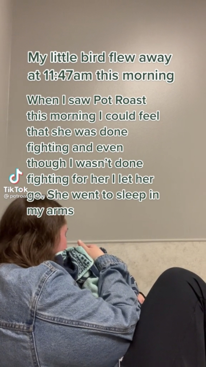 Le message annonçant la mort de Pot Roast.