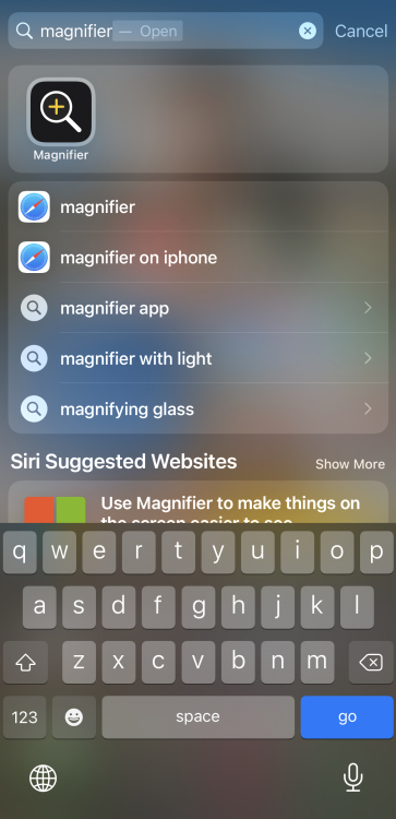 Une capture d'écran d'un menu de recherche Spotlight iPhone.  L'utilisateur a recherché 