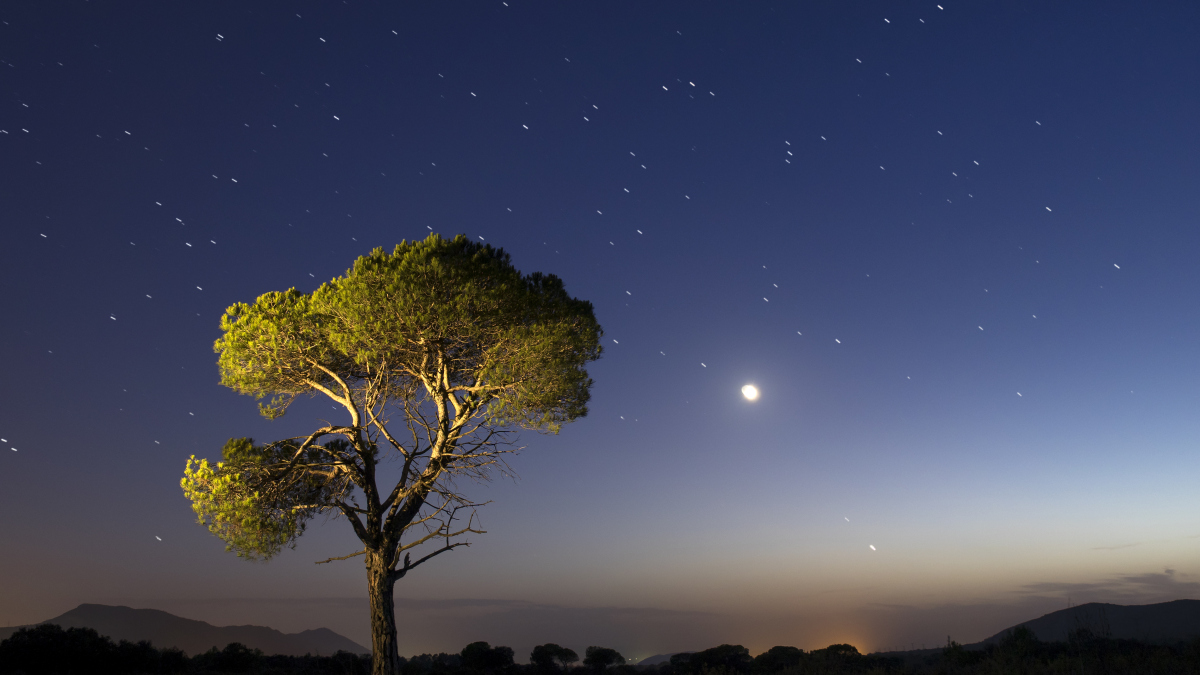 Comment voir la pluie de météores des Perséides malgré la super lune