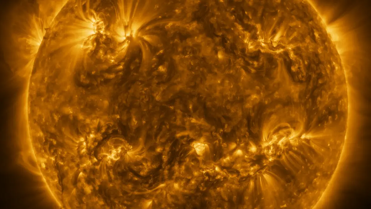 Image sans précédent du soleil juste capturée par un vaisseau spatial stellaire