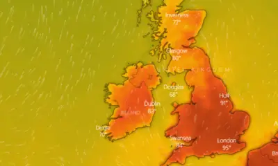 La chaleur extrême du Royaume-Uni bat le record de tous les temps