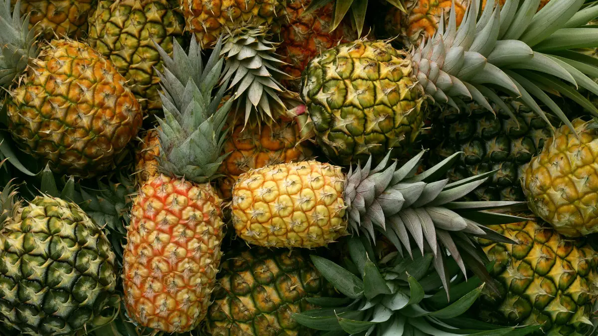 L'ananas améliore-t-il vraiment le goût de votre sperme?  Une enquête.