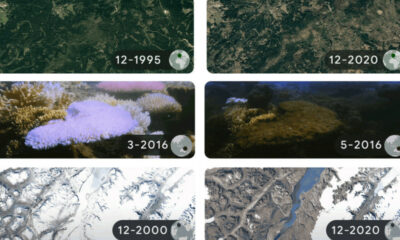 Le Google Doodle du Jour de la Terre de cette année est un regard sombre sur l'impact réel du changement climatique