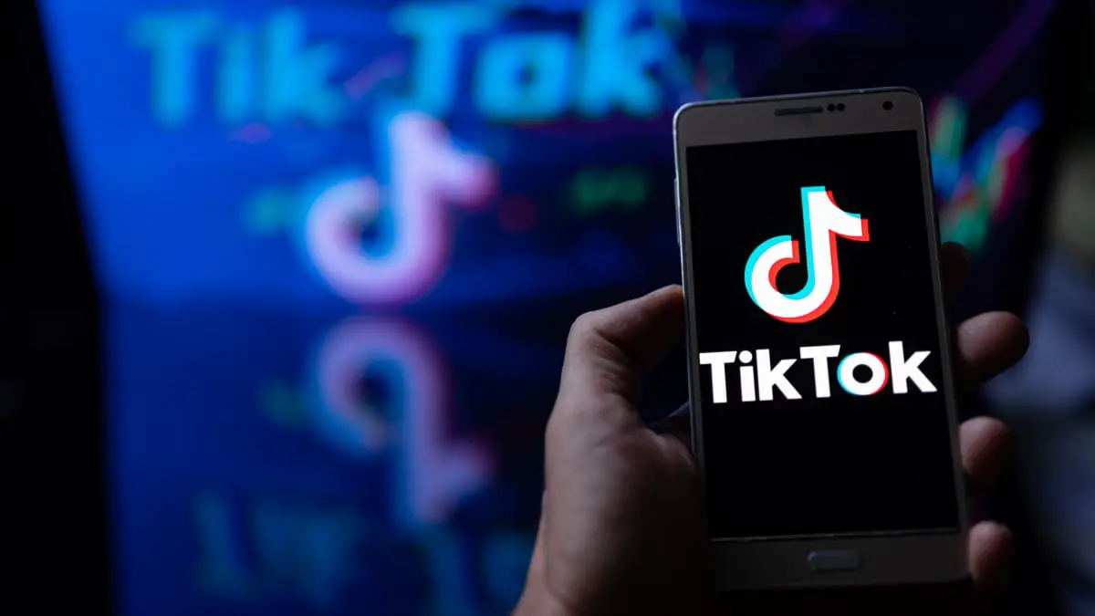 Les "clusters" d'utilisateurs sommaires de TikTok auraient suscité des plaintes internes