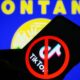 Les créateurs de TikTok poursuivent le Montana pour l'interdiction
